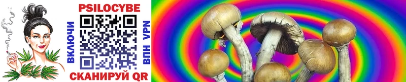 площадка клад  магазин    Княгинино  Галлюциногенные грибы ЛСД 